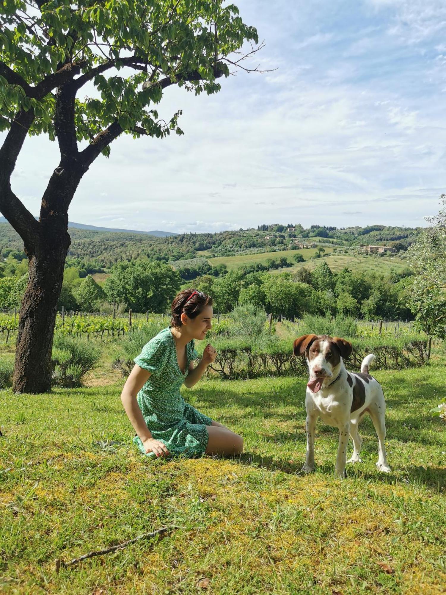 Agriturismo Borgo Villa Certano Siena Exterior foto